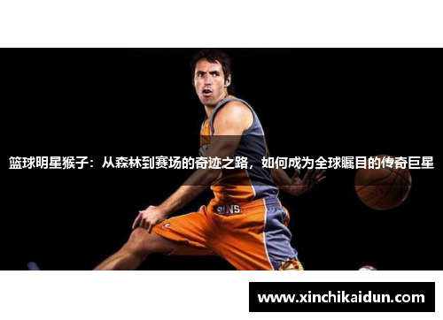 篮球明星猴子：从森林到赛场的奇迹之路，如何成为全球瞩目的传奇巨星